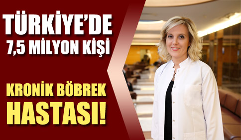 Türkiyede 7,5 Milyon Kişi Kronik Böbrek Hastası