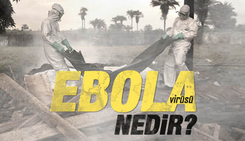 Ebola Nedir ?
