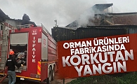 Orman Ürünleri fabrikasında yangın 