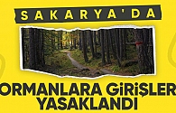 Sakarya'da ormanlara girişler 1 Kasım'a kadar yasaklandı