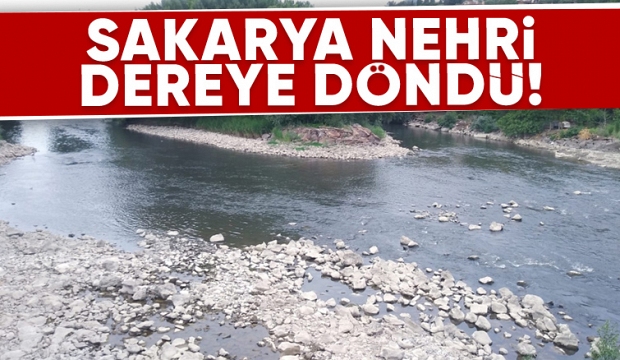 Sakarya Nehri'nde korkutan görüntü